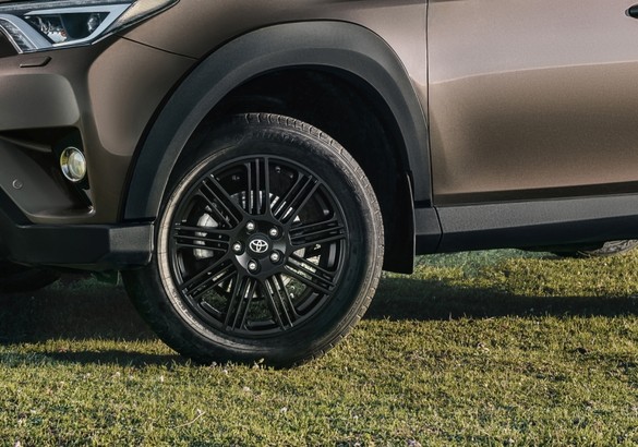 «Внедорожная» спецверсия Toyota RAV4 доехала до России