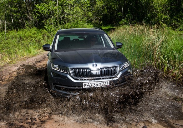 Тест-драйв Skoda Kodiaq: узнаем все о возможностях машины и трех двигателей