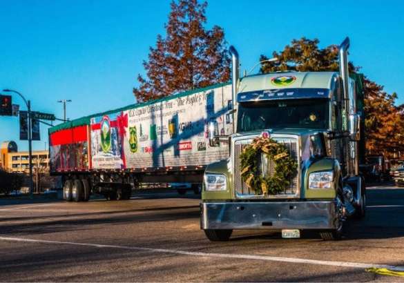 MAN TGX доставил главную елку страны