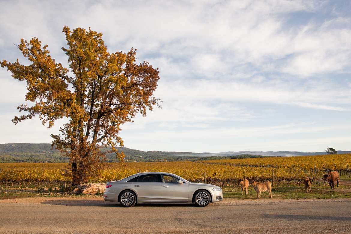 Тест-драйв Audi A6 45 TFSI и Audi A8 60 TFSI: установка на победу
