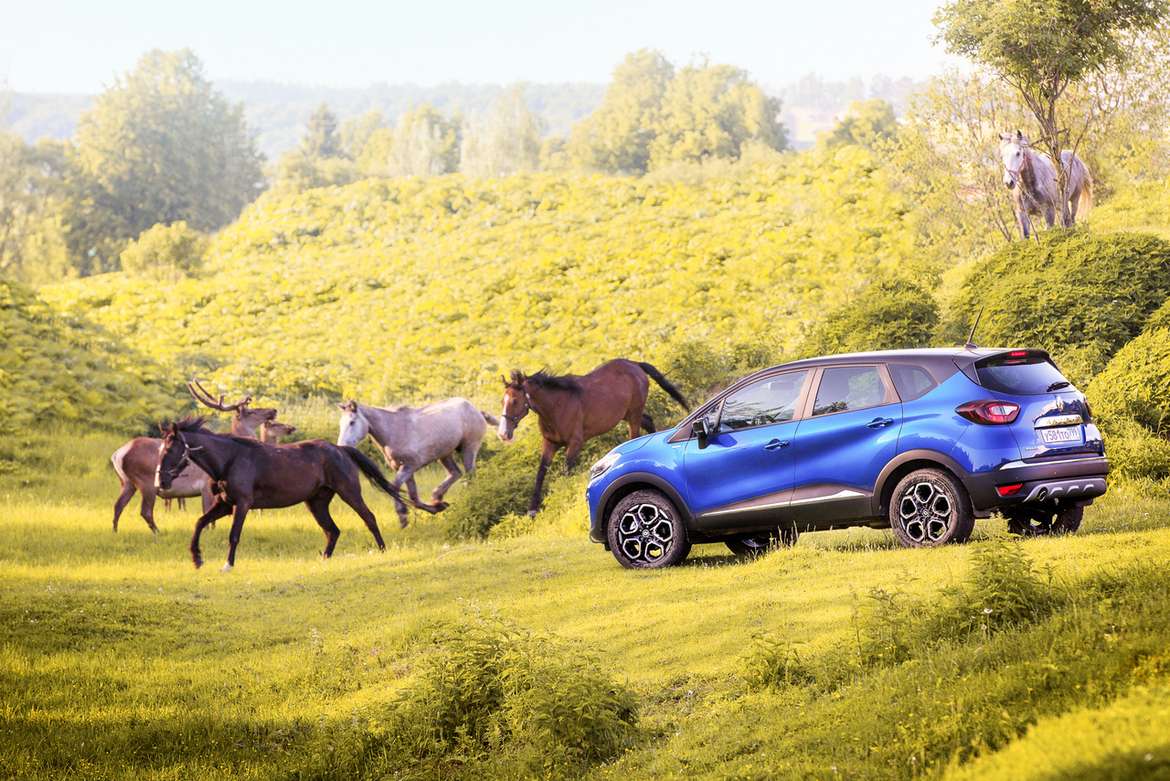 Тест-драйв обновленного Renault Kaptur: турбомотор и тысяча мелочей