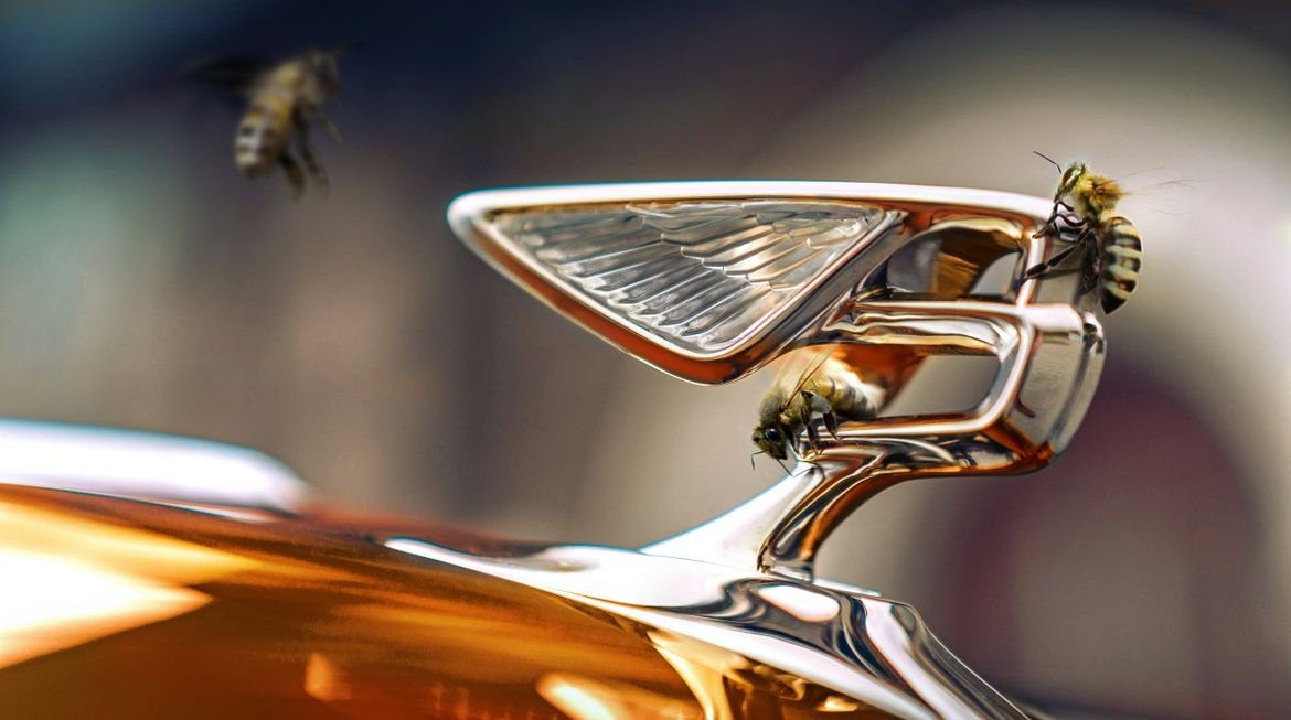 В Bentley намерены полностью электрифицировать модельный ряд