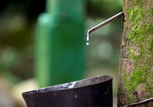 Гибридный BMW X5 получит экологичные шины Pirelli