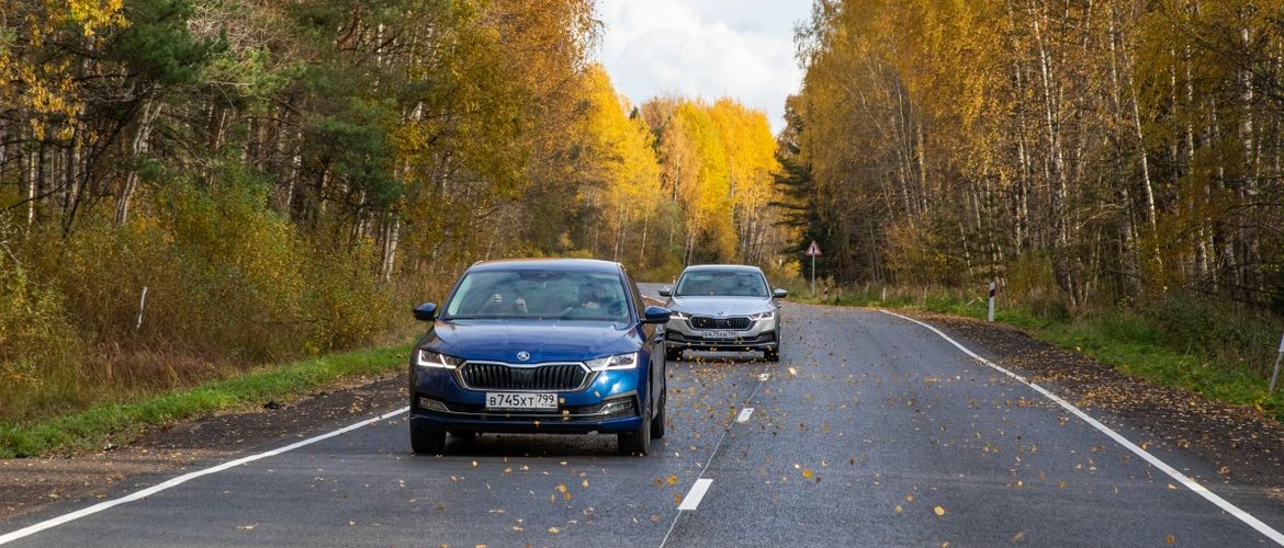 Skoda Driving Experience: как совместить тест-драйв и семейный отдых