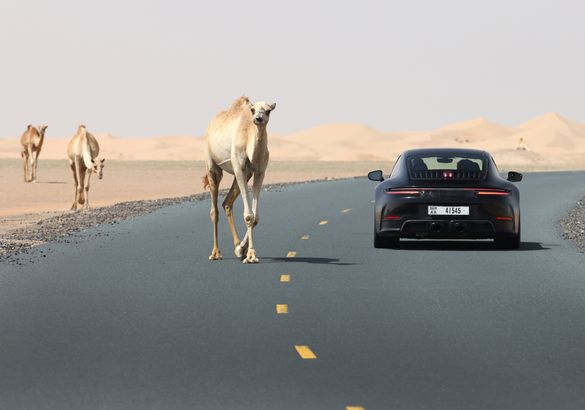 Porsche готовит к премьере гибридный 911