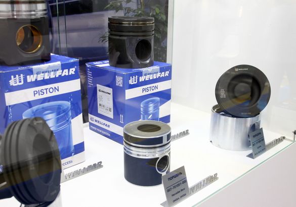 Запчасти Wellfar стали доступны в России