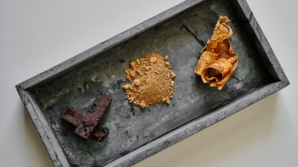 Nokian Tyres будет делать шины из бересты