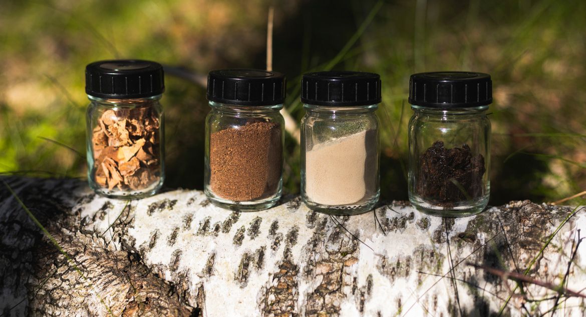 В Nokian Tyres сделали шину из бересты