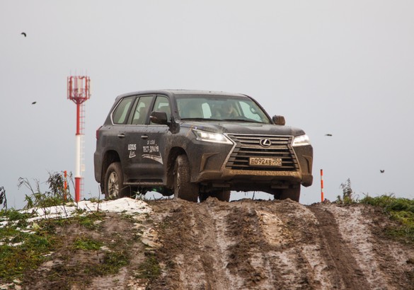 Тесты в стиле Lexus Live: креатив как новый способ привлечения клиентов