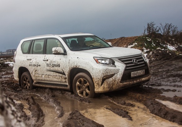 Тесты в стиле Lexus Live: креатив как новый способ привлечения клиентов