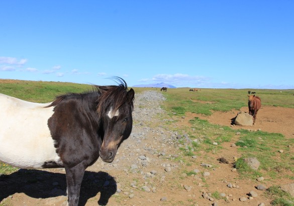 Страна сгоревших «предохранителей восхищения»: на авто по Исландии