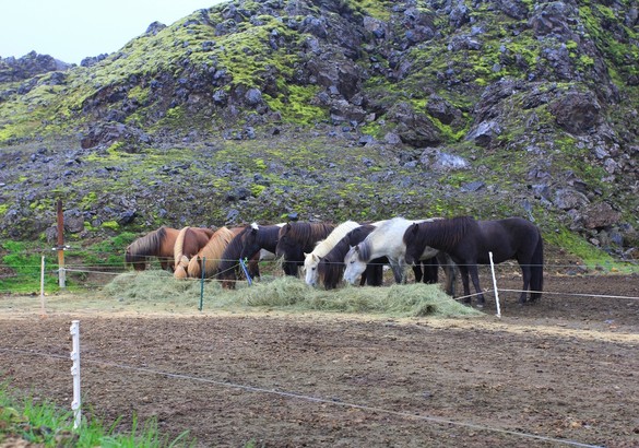 Страна сгоревших «предохранителей восхищения»: на авто по Исландии
