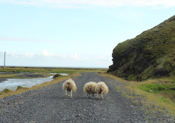 Страна сгоревших «предохранителей восхищения»: на авто по Исландии