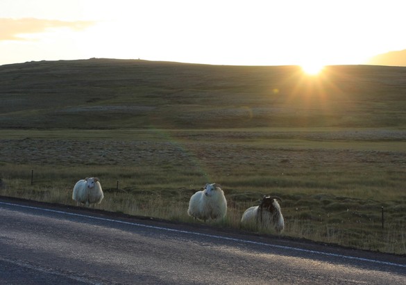 Страна сгоревших «предохранителей восхищения»: на авто по Исландии