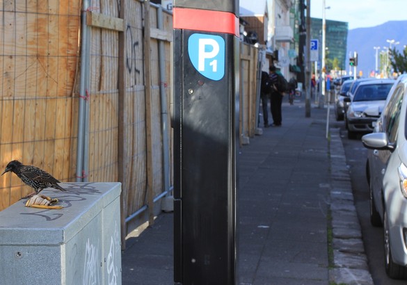 Страна сгоревших «предохранителей восхищения»: на авто по Исландии