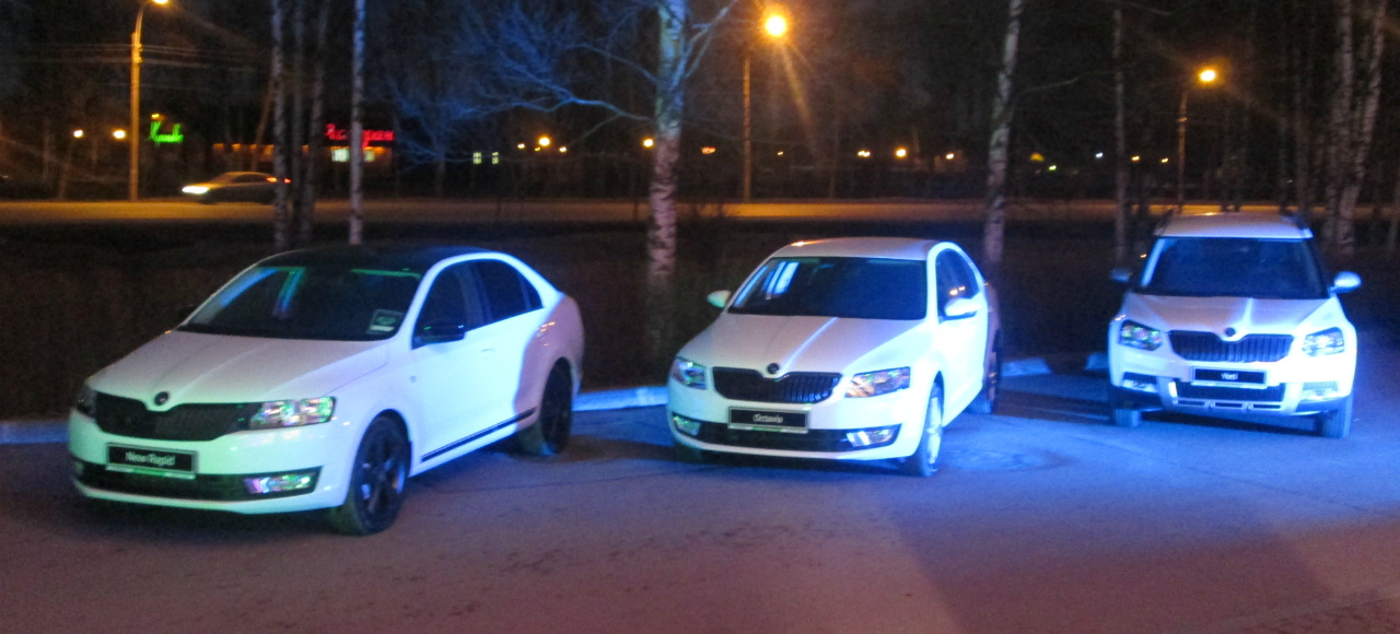 Дилер Skoda предложил новую семейную традицию в Петербурге