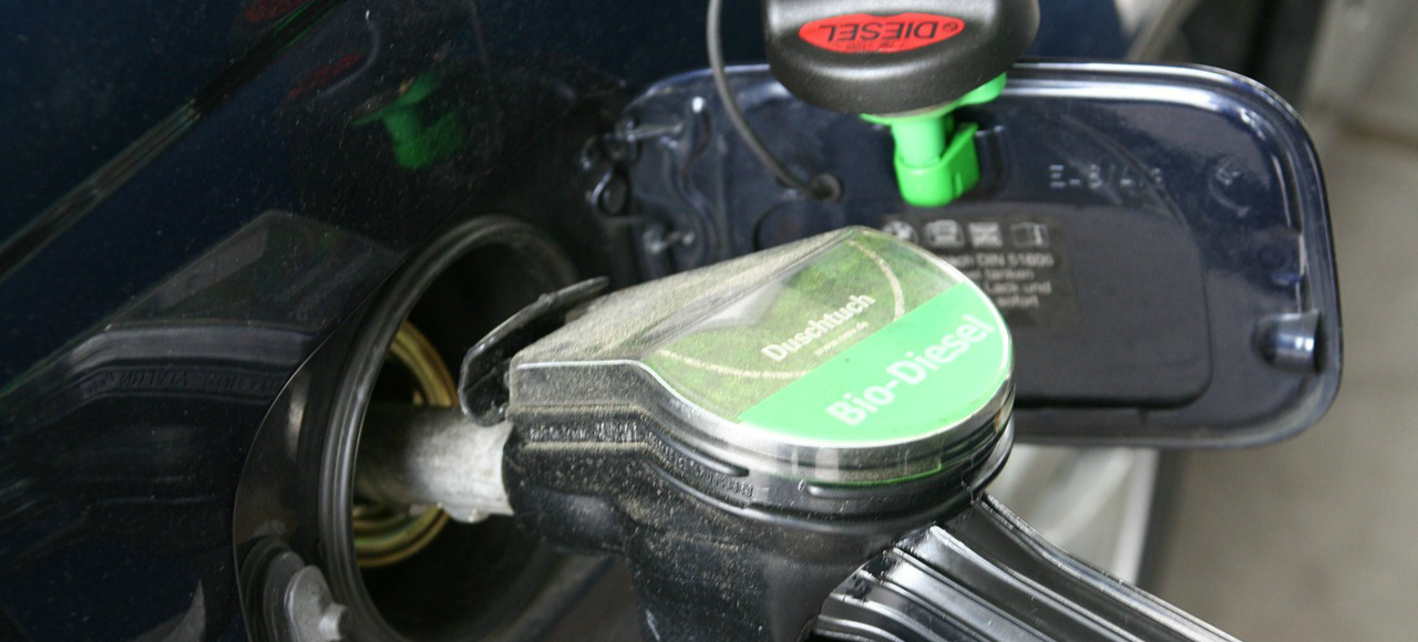 С начала года цены на бензин выросли на 7,4%