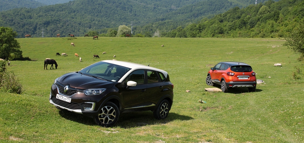 Renault Kaptur запущен в продажу в России