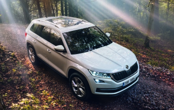 Skoda Kodiaq доедет до России в июне