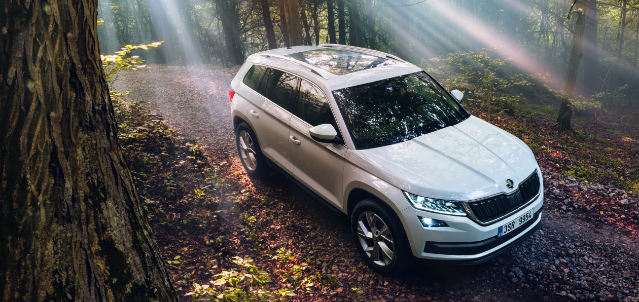 Skoda Kodiaq доедет до России в июне