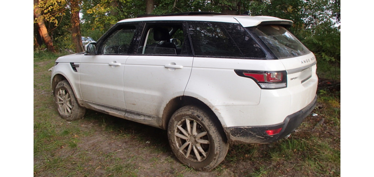 Петербургские угонщики спрятали Range Rover Sport в лесу