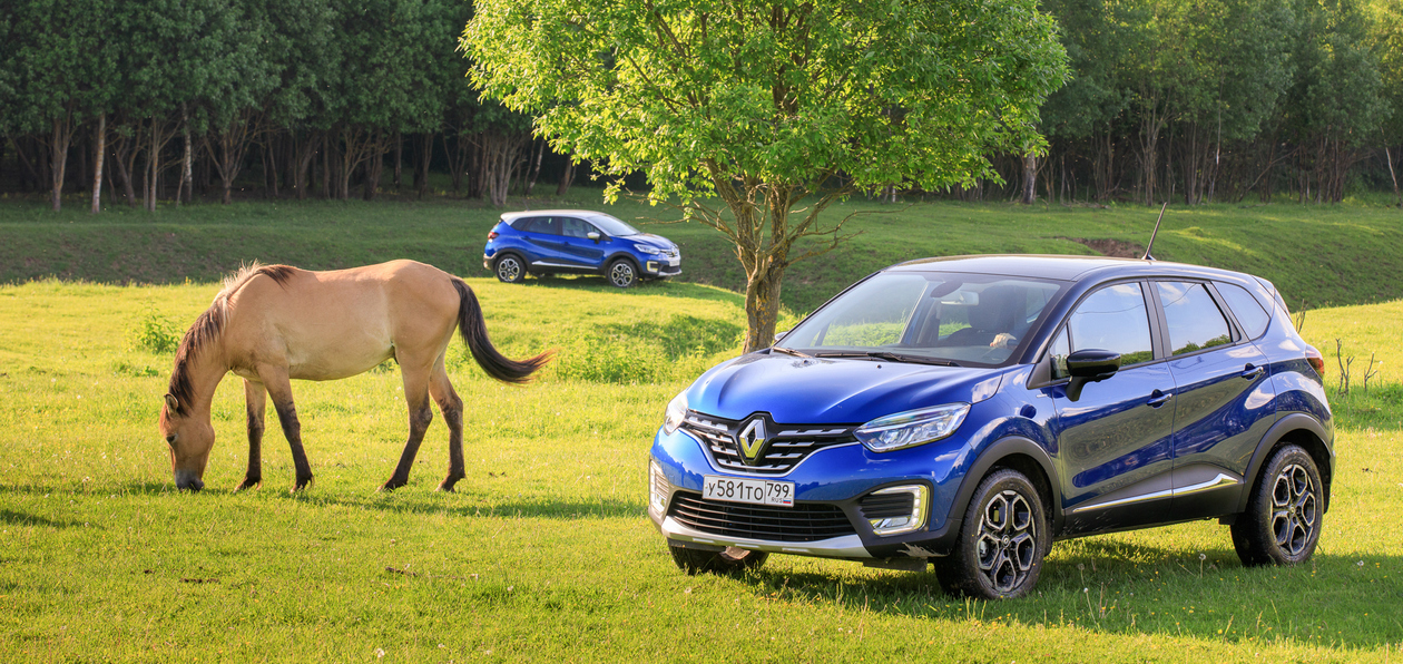 Тест-драйв обновленного Renault Kaptur: турбомотор и тысяча мелочей