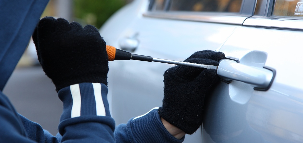 В Подмосковье задержали питерских угонщиков