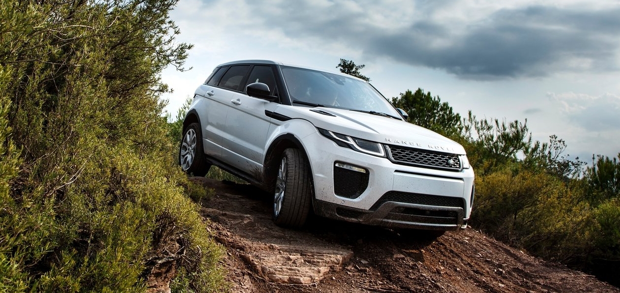Угнанный в Петербурге Range Rover Evoque нашли в лесополосе