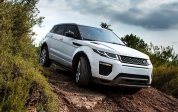 Угнанный в Петербурге Range Rover Evoque нашли в лесополосе