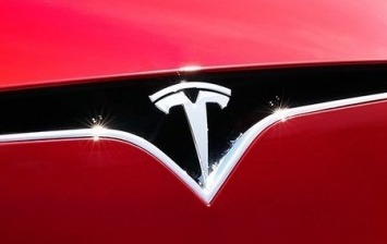 Tesla готовит место под завод в Германии, несмотря на протесты активистов
