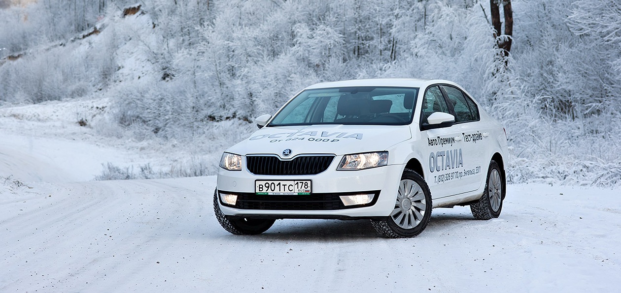 Автомобили Skoda можно обслужить у дилеров на выгодных условиях