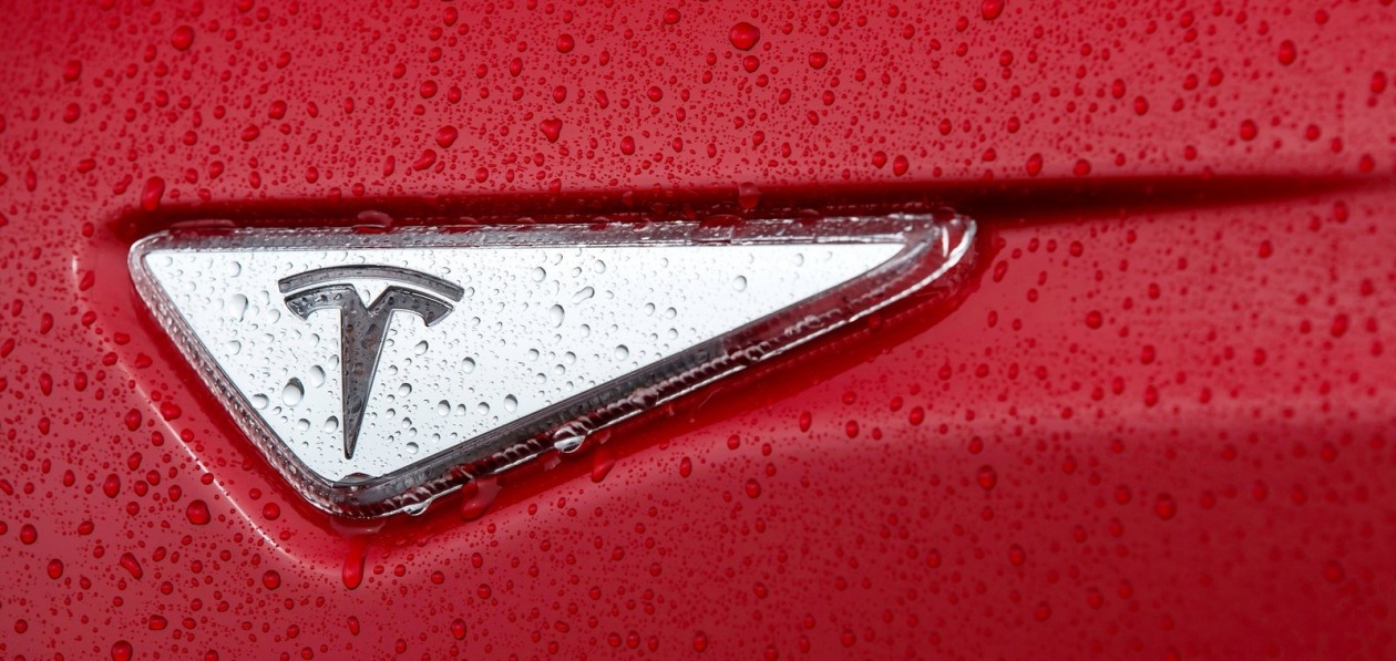 «Гигафабрика» Tesla в Германии остановилась из-за экоактивистов