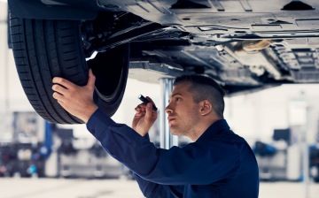 Названа совокупная доля автобизнеса в экономике России