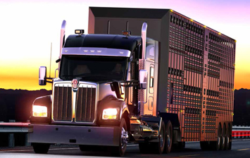 В Штатах начали прием заказов на новый флагман Kenworth