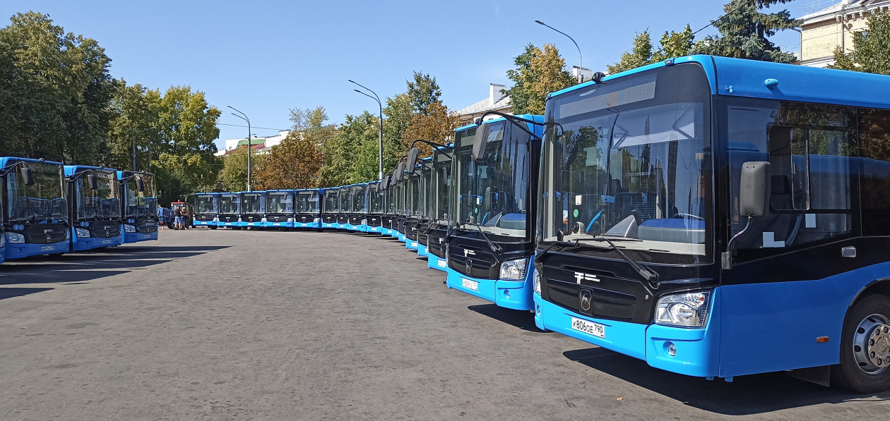 В июне продажи новых автобусов выросли на 19%