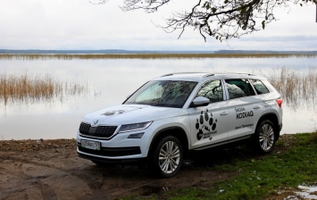 Медвежьими тропами: едем в Карелию на Skoda Kodiaq
