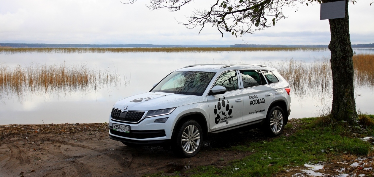Медвежьими тропами: едем в Карелию на Skoda Kodiaq
