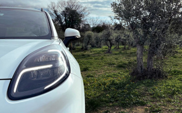 Ford планирует производить детали из оливкового дерева