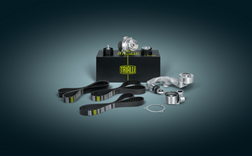 Trialli расширил ассортимент 16 товарных групп